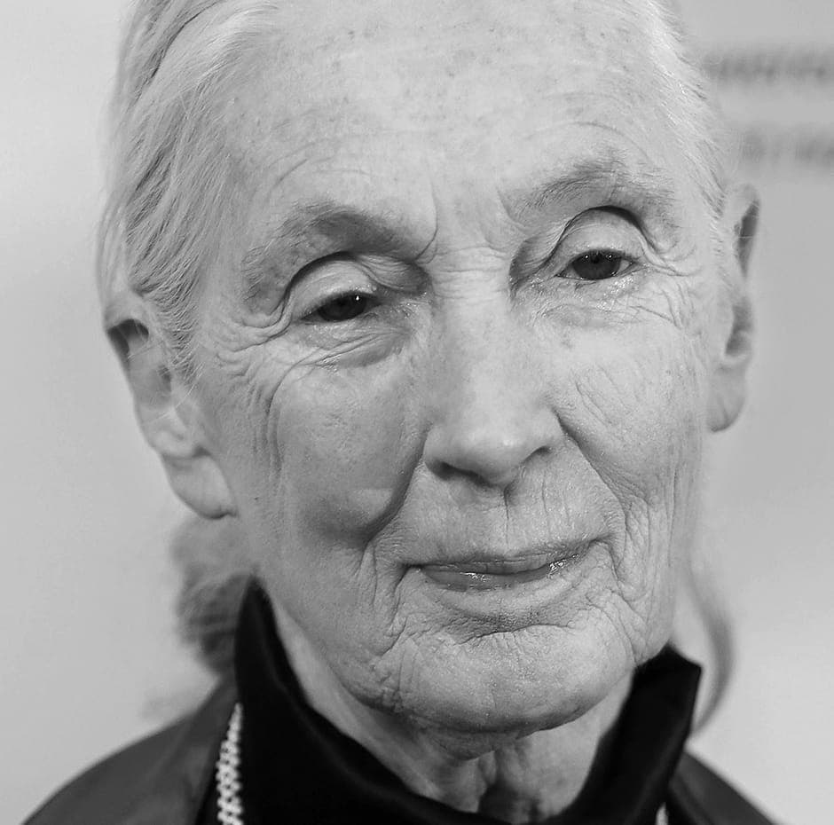 Jane Goodall